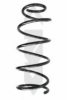 SPIDAN 55247 Coil Spring